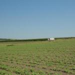 2.25 Bigha Agricultural Land for sale near Gadota, Ajmer Road, Jaipur