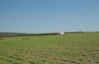 15 Bigha Agricultural Land for sale near Bandhe Ke Balaji Temple, Ajmer Road, Jaipur