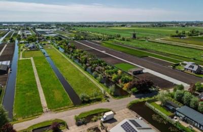 2 Bigha SC Agricultural Land for sale at Boraj Begus Road, Near Boraj, Ajmer Road, Jaipur