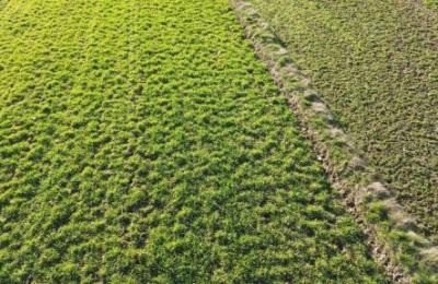 3400 sq yd Residential Plot for sale near Nevta, Jaipur