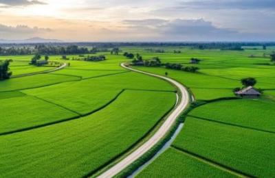 13 Bigha Resort/Hospitality Land for sale on Natata Road, Delhi Road, Jaipur