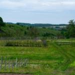 3 Bigha Agricultural Land for sale at Palu Kalan, Inside Road, Ajmer Road, Jaipur