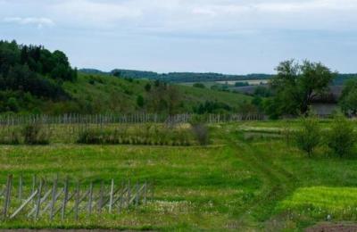 3 Bigha Agricultural Land for sale at Palu Kalan, Inside Road, Ajmer Road, Jaipur