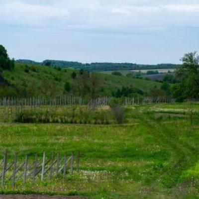 3 Bigha Agricultural Land for sale at Palu Kalan, Inside Road, Ajmer Road, Jaipur