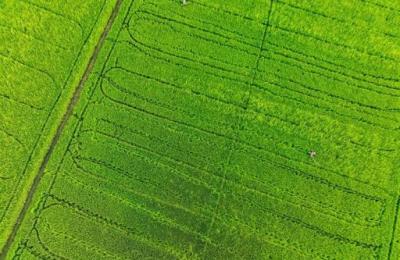 15 Bigha Agricultural Land for sale in Phulera, Jaipur