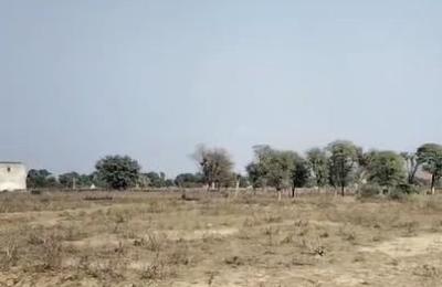 7.3 Bigha Agricultural Land for sale near Bande Ke Balaji Temple, Bichoon Bypass Road, Ajmer Road